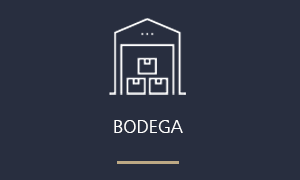 images/caplogistics_icono_inicio_2.png