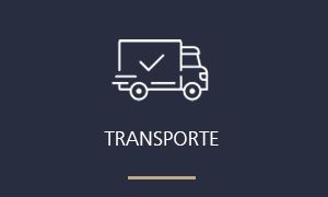 images/caplogistics_icono_inicio_3.png