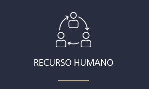 images/caplogistics_icono_inicio_4.png